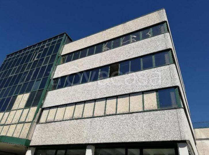 immagine annuncio 7 di 8