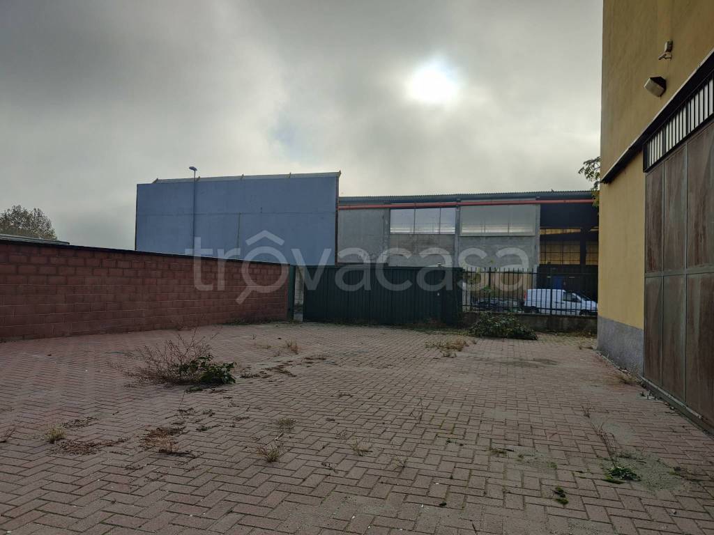 immagine annuncio 11 di 15