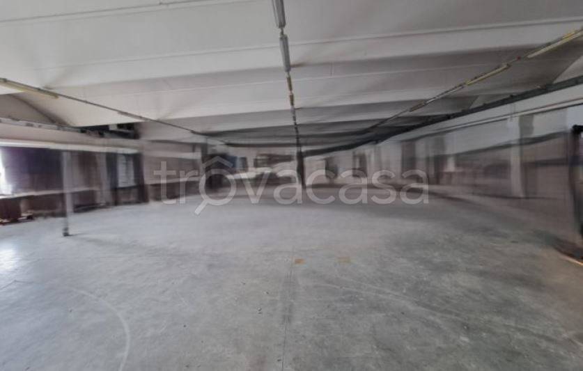 immagine annuncio 4 di 8