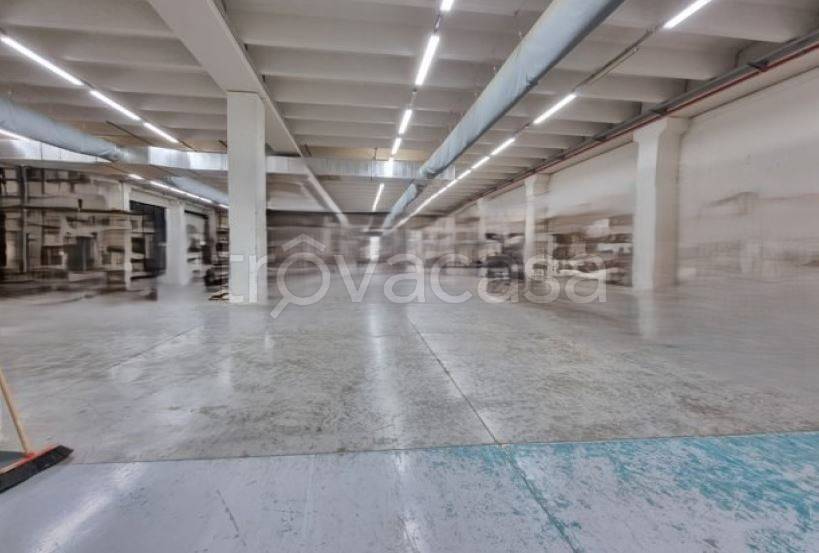 immagine annuncio 5 di 8