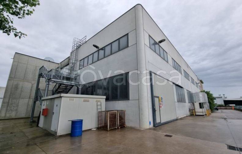 immagine annuncio 6 di 8