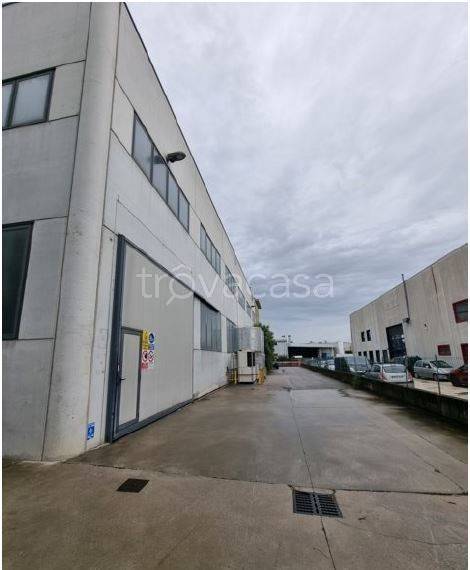 immagine annuncio 7 di 8