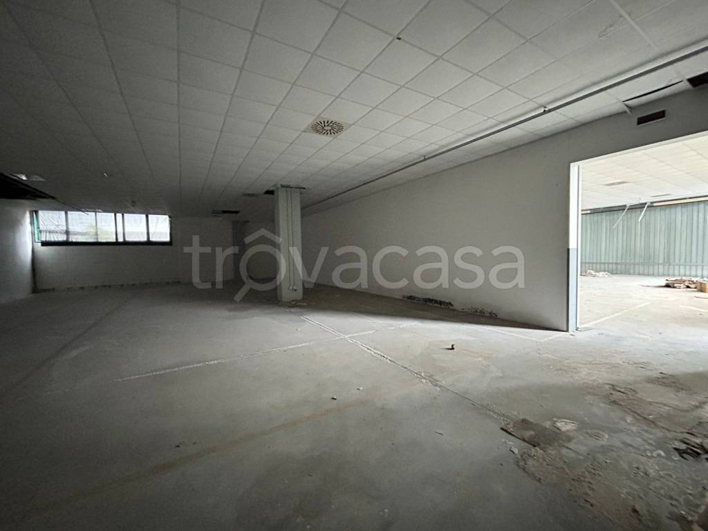 immagine annuncio 2 di 12