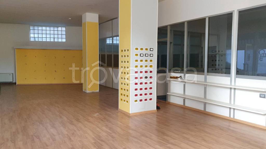 immagine annuncio 9 di 11