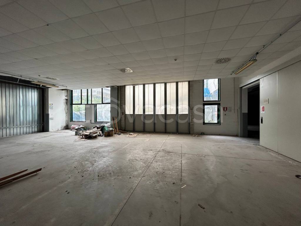 immagine annuncio 5 di 12