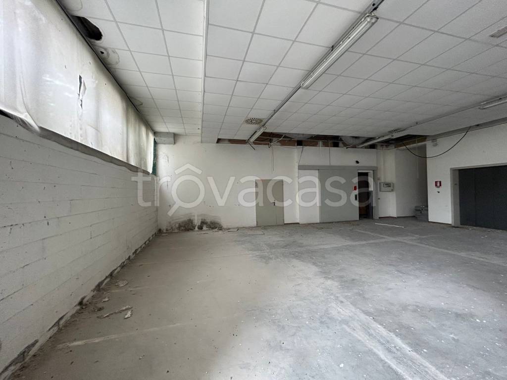 immagine annuncio 6 di 12