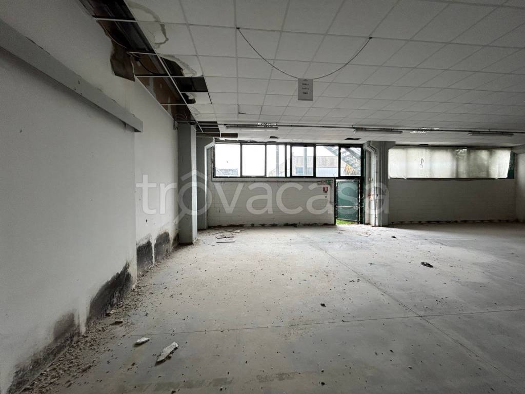 immagine annuncio 7 di 12