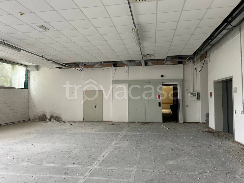 immagine annuncio 8 di 12