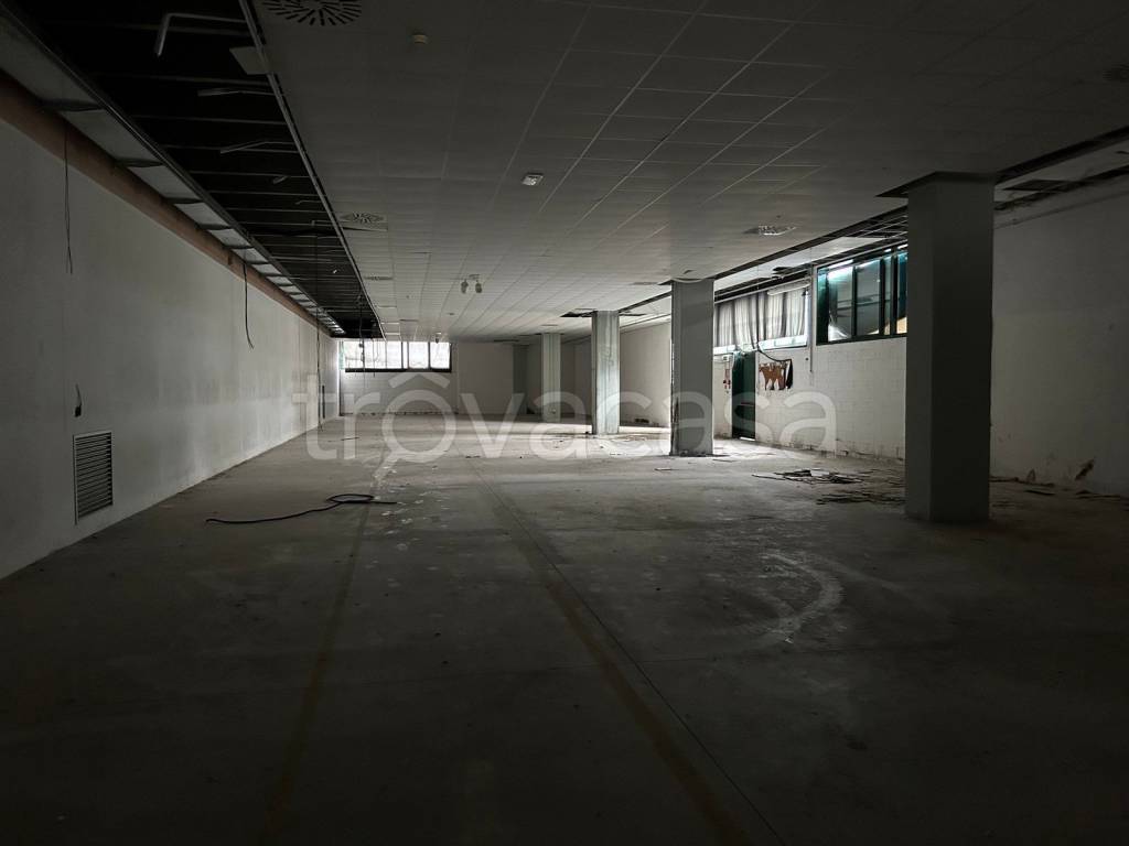 immagine annuncio 11 di 12