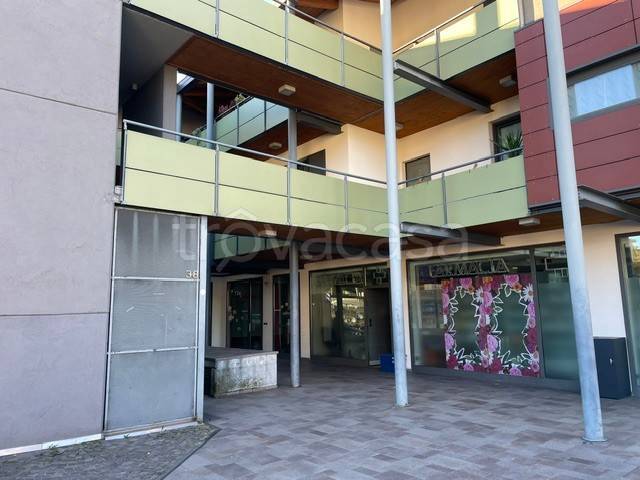 immagine annuncio 3 di 13