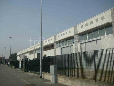 immagine annuncio 3 di 6