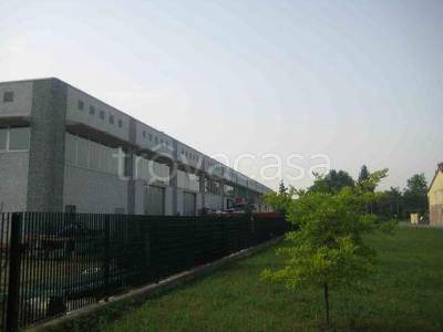 immagine annuncio 4 di 6