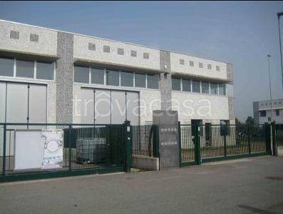 immagine annuncio 5 di 6