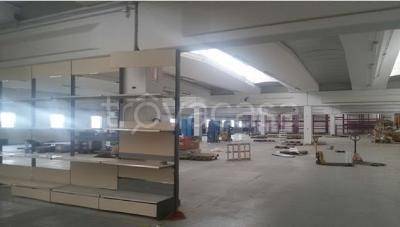 immagine annuncio 3 di 8