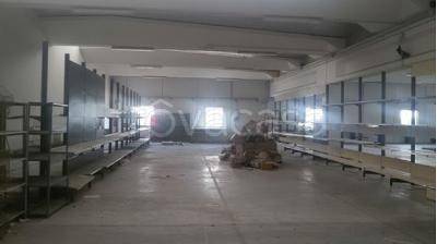 immagine annuncio 4 di 8