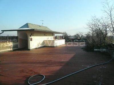 immagine annuncio 5 di 12