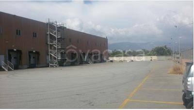 immagine annuncio 6 di 8