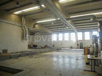 immagine annuncio 2 di 3