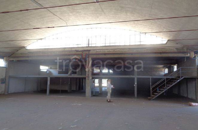 immagine annuncio 2 di 6