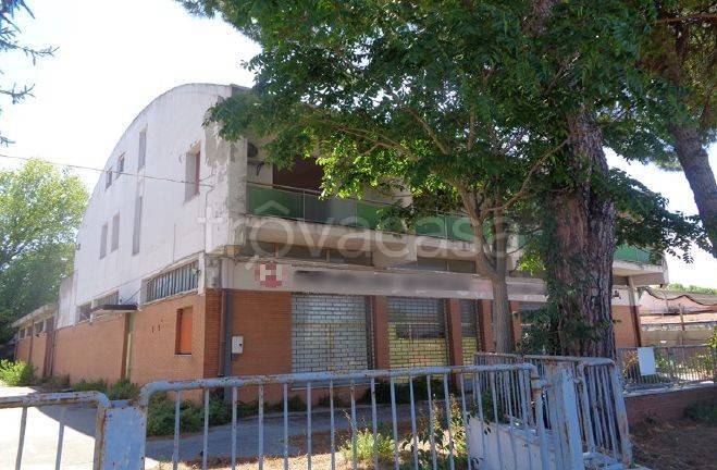 immagine annuncio 3 di 6