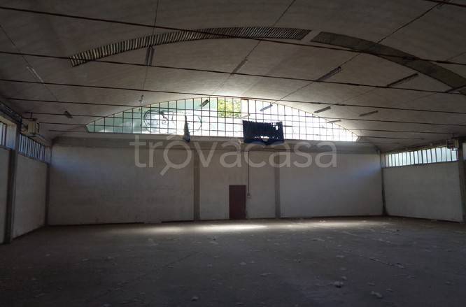 immagine annuncio 4 di 6