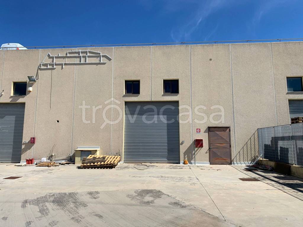 immagine annuncio 11 di 13