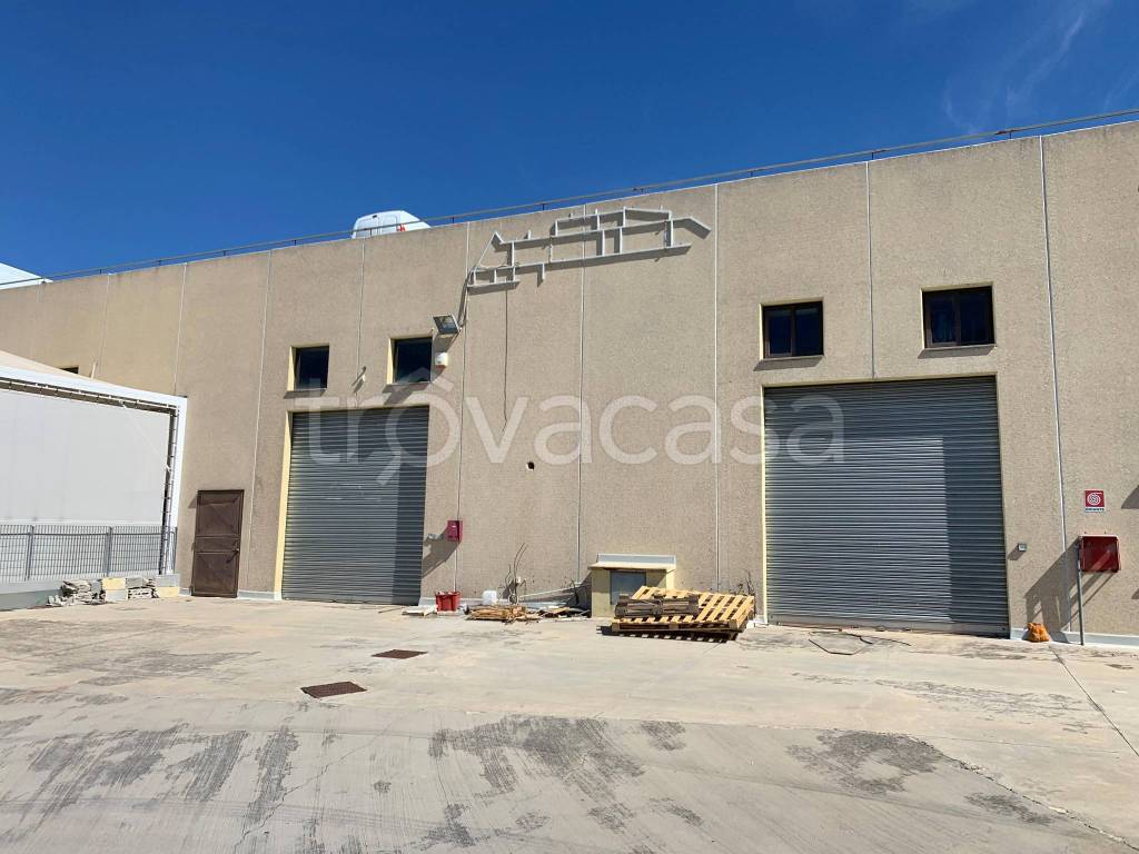 immagine annuncio 12 di 13