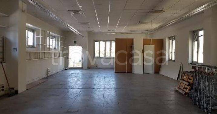 immagine annuncio 6 di 9