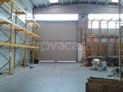 immagine annuncio 3 di 8