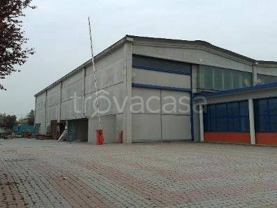 immagine annuncio 5 di 8