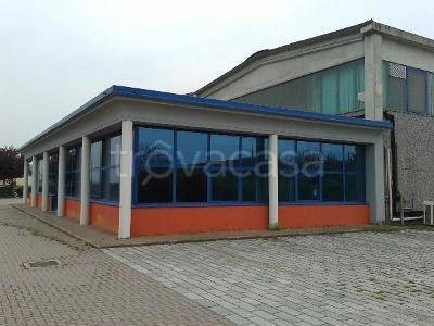 immagine annuncio 6 di 8