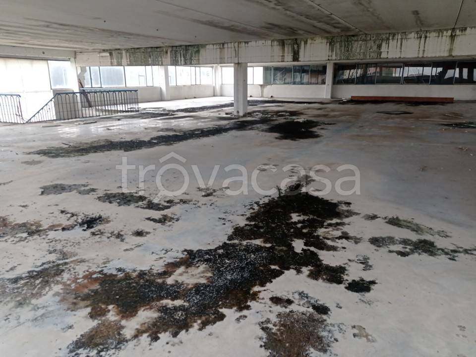 immagine annuncio 3 di 8