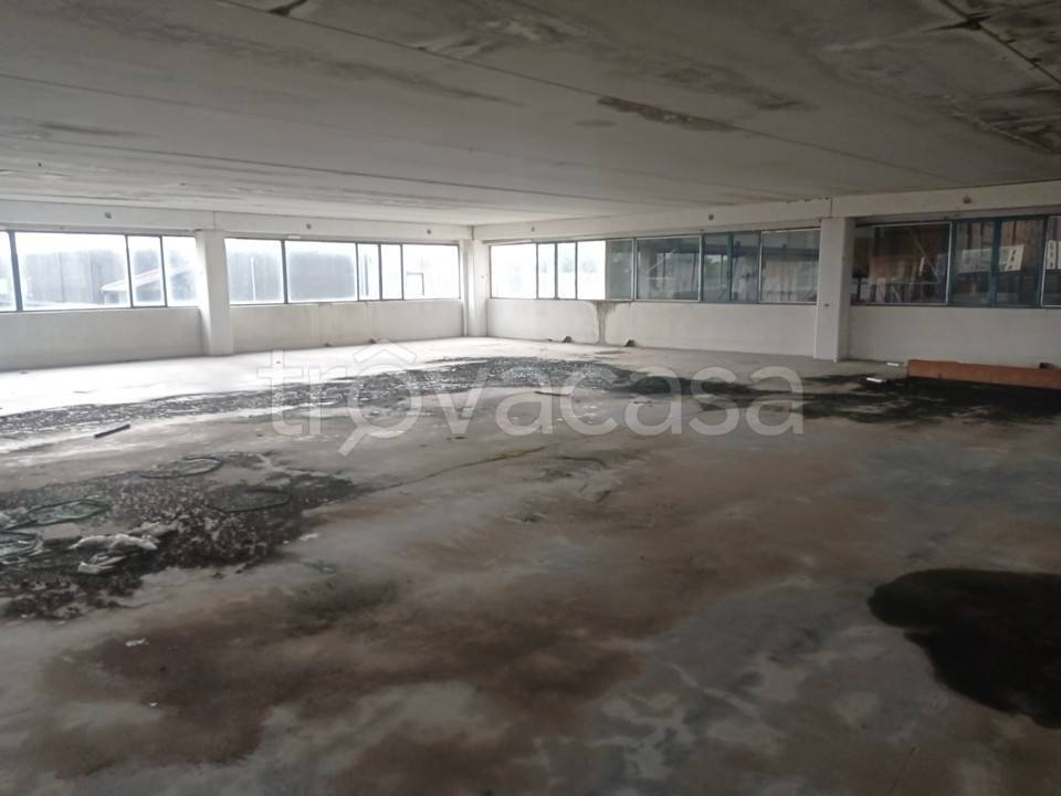 immagine annuncio 5 di 8