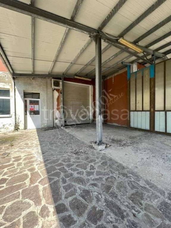 immagine annuncio 4 di 8