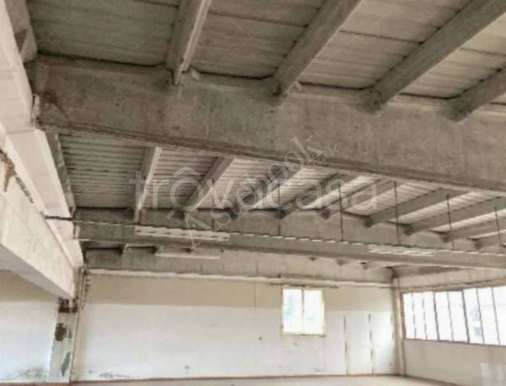 immagine annuncio 6 di 8