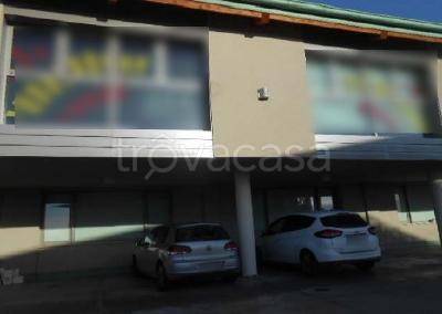 immagine annuncio 12 di 13