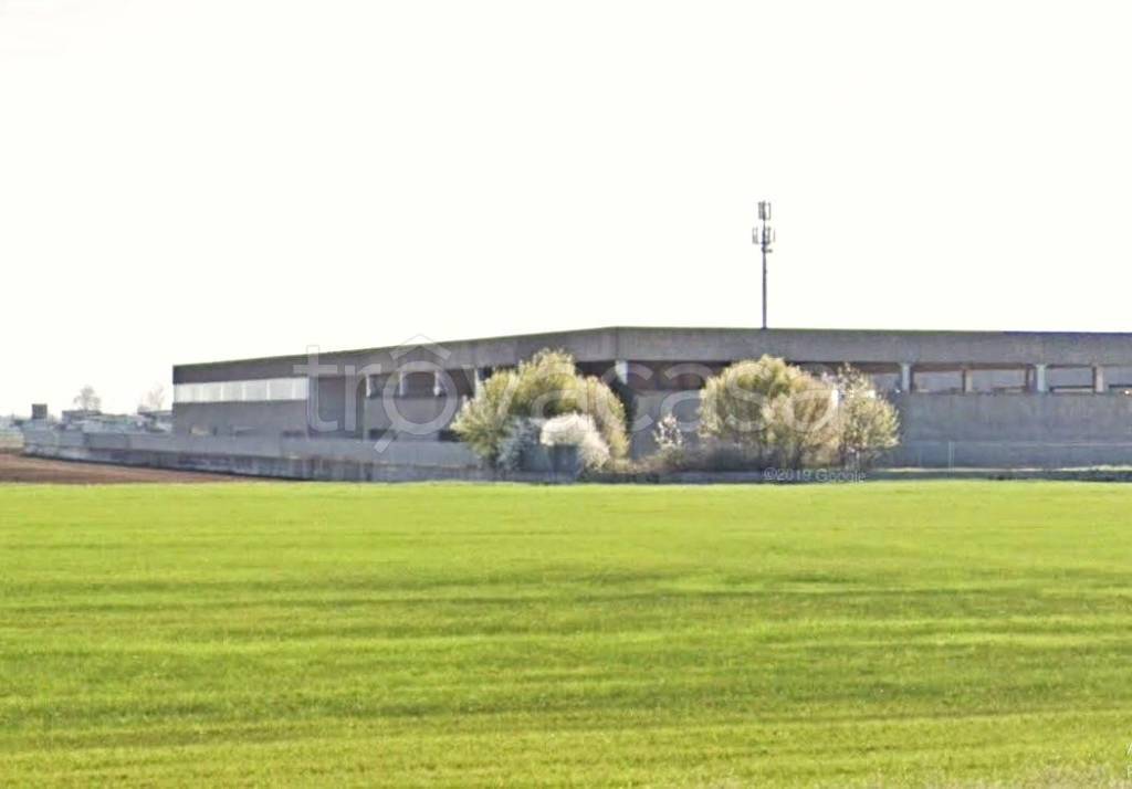 immagine annuncio 3 di 4