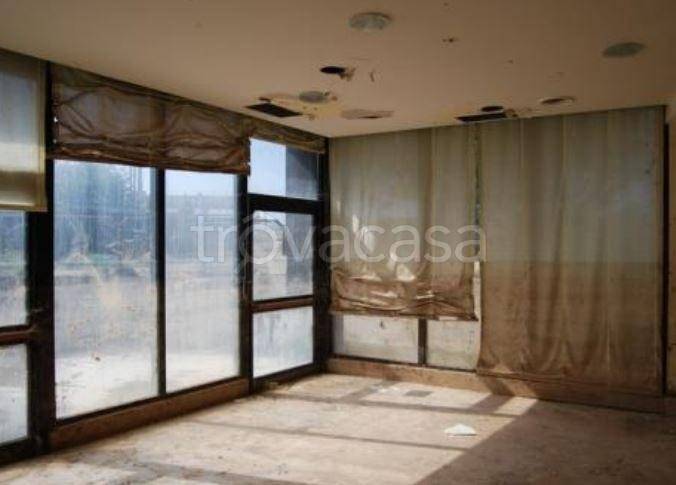 immagine annuncio 4 di 8