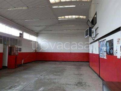 immagine annuncio 2 di 3