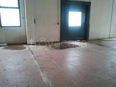 immagine annuncio 1 di 6