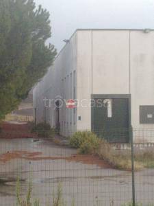 immagine annuncio 2 di 6