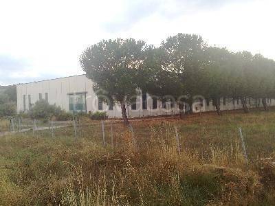 immagine annuncio 4 di 6