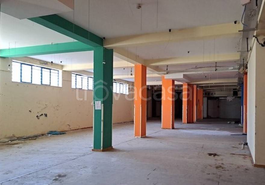 immagine annuncio 3 di 6