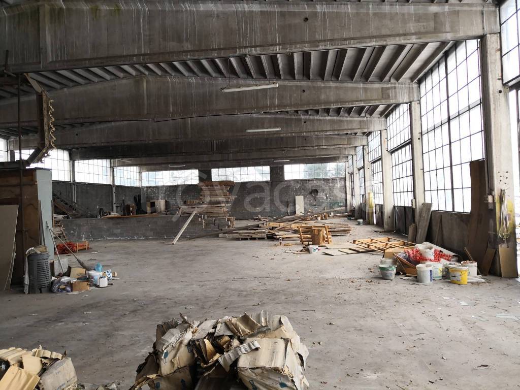 immagine annuncio 6 di 13