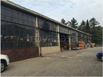 immagine annuncio 8 di 13