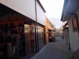 immagine annuncio 1 di 7