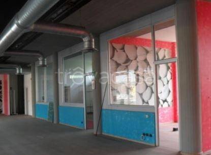 immagine annuncio 4 di 6