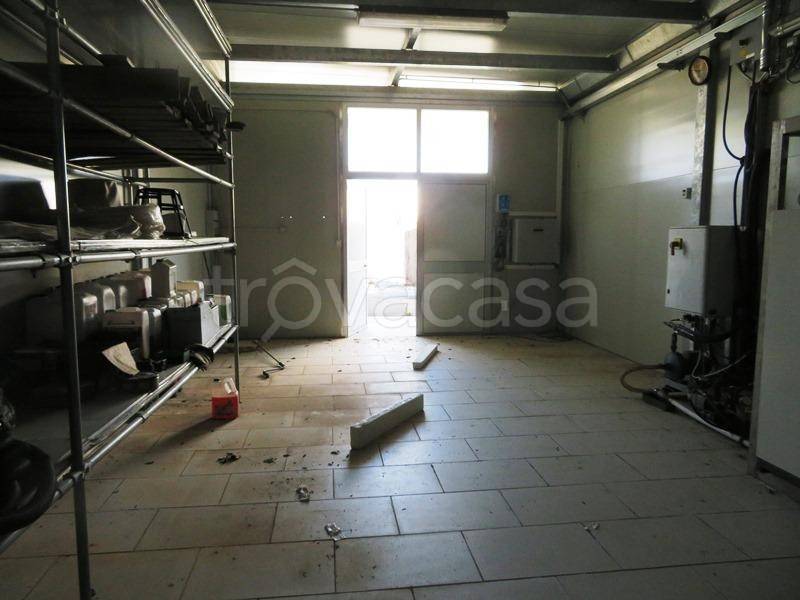 immagine annuncio 2 di 12