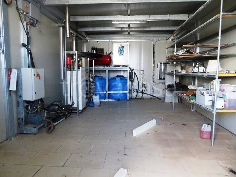 immagine annuncio 3 di 12