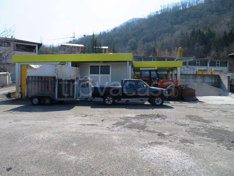 immagine annuncio 8 di 12